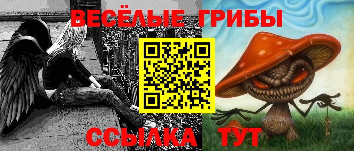 Галлюциногенные грибы Cubensis Лангепас