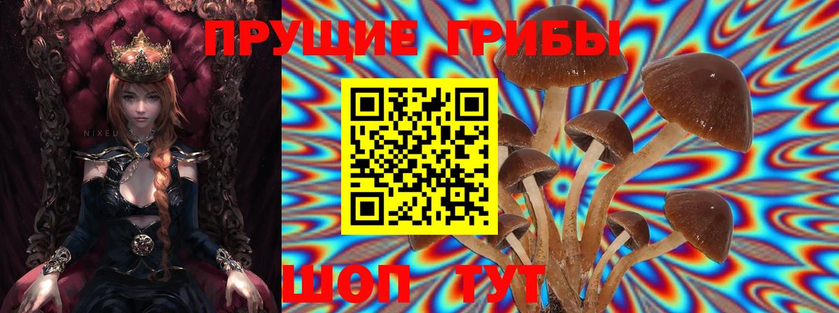 Галлюциногенные грибы Psilocybine cubensis  Псилоцибиновые грибы мухоморы  Лангепас  Вход с VPN 
